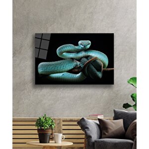 EOL 50x70 cm