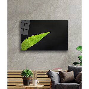 EOL 50x70 cm