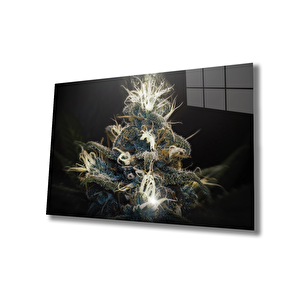 EOL 36x23 cm