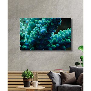 EOL 50x70 cm