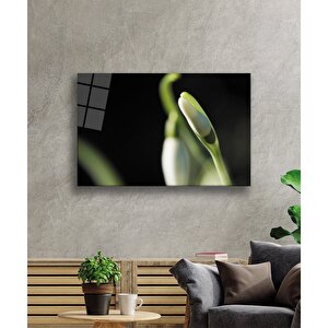 EOL 50x70 cm
