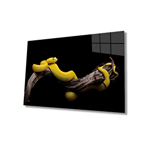 EOL 36x23 cm