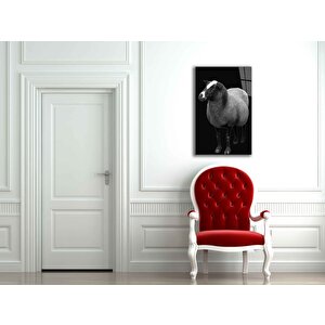 EOL 50x70 cm