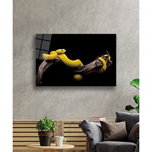 EOL 50x70 cm