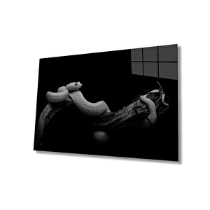 EOL 36x23 cm