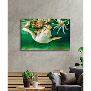 EOL 50x70 cm