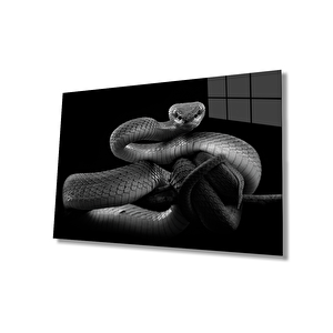 EOL 50x70 cm