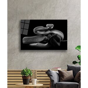 EOL 50x70 cm