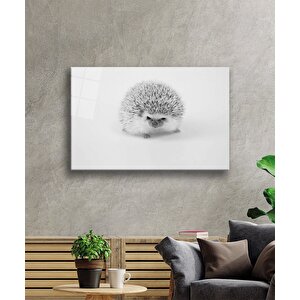 EOL 50x70 cm