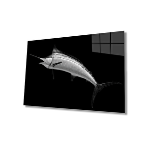 EOL 50x70 cm