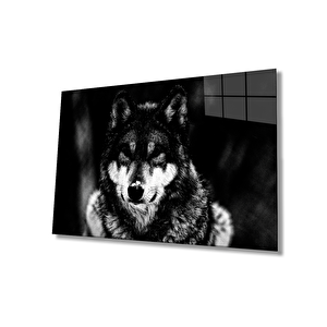 EOL 36x23 cm