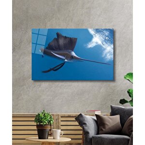 EOL 90x60 cm