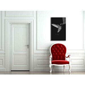 EOL 50x70 cm