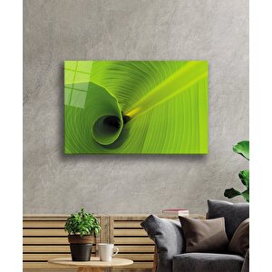 EOL 50x70 cm
