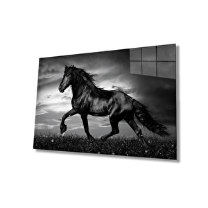 EOL 50x70 cm