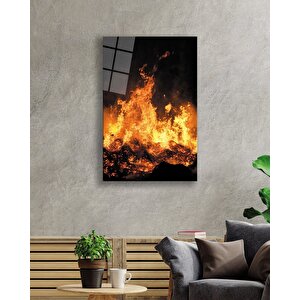 EOL 50x70 cm