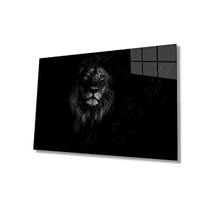 EOL 50x70 cm