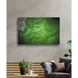 EOL 90x60 cm