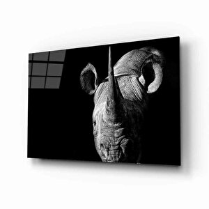 EOL 50x70 cm