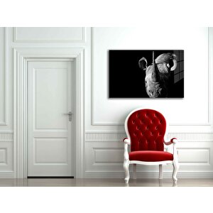 EOL 50x70 cm
