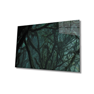 EOL 36x23 cm