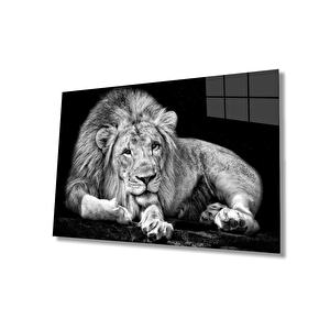 EOL 50x70 cm