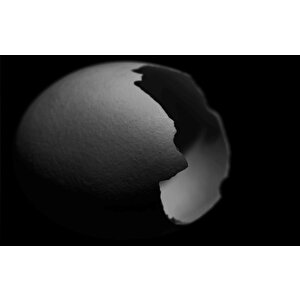 EOL 36x23 cm