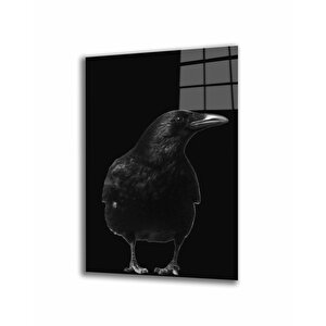 EOL 50x70 cm