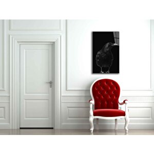 EOL 50x70 cm