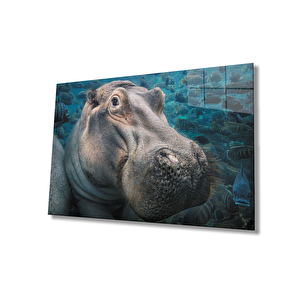 EOL 110x70 cm