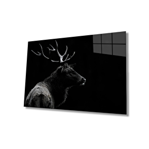 EOL 50x70 cm