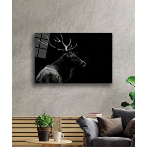 EOL 50x70 cm