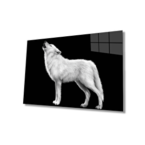 EOL 36x23 cm