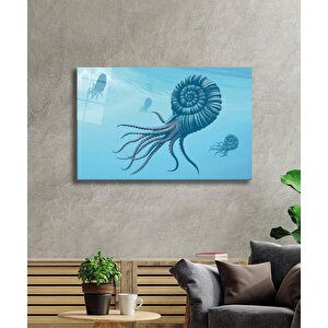 EOL 50x70 cm