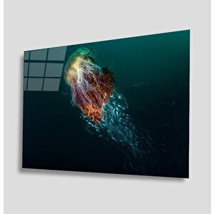 EOL 50x70 cm