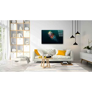 EOL 50x70 cm