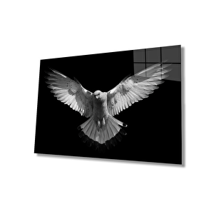 EOL 50x70 cm
