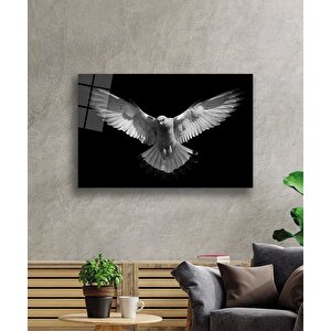EOL 50x70 cm