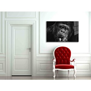 EOL 50x70 cm