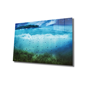 EOL 50x70 cm