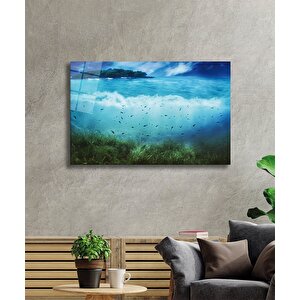 EOL 50x70 cm