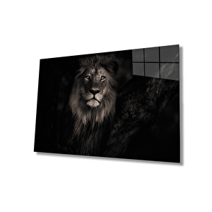 EOL 50x70 cm