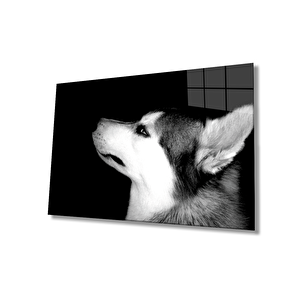 EOL 36x23 cm