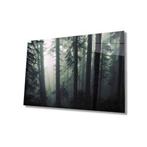 EOL 36x23 cm