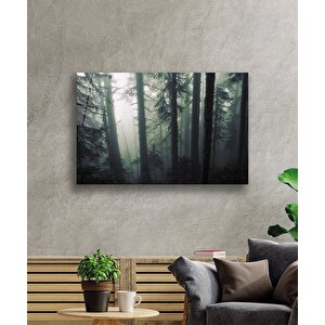 EOL 50x70 cm