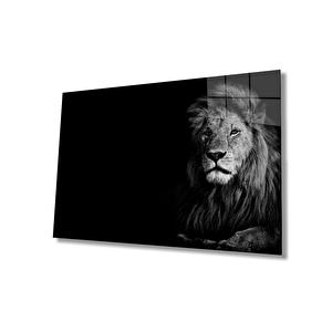 EOL 50x70 cm