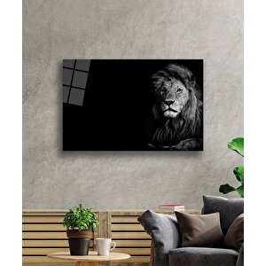 EOL 50x70 cm