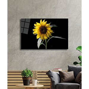 EOL 50x70 cm