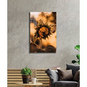 EOL 50x70 cm