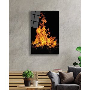 EOL 50x70 cm